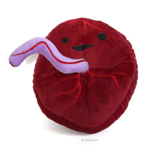 stuffed placenta